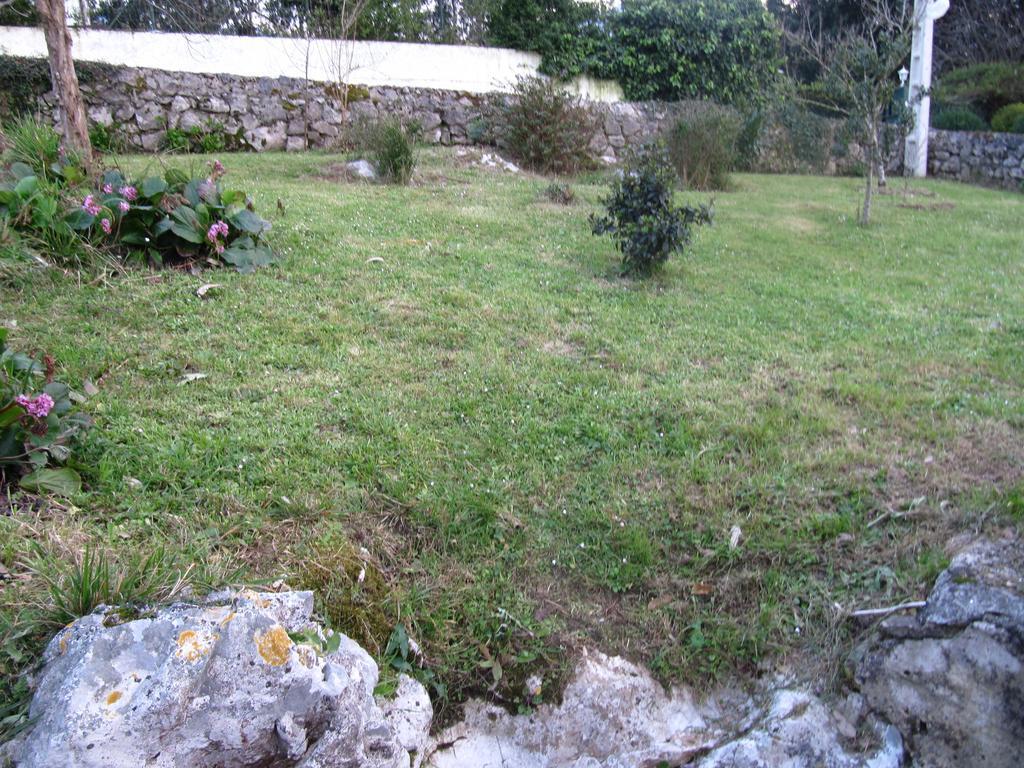 Pension Mariaje Celorio  Exterior foto